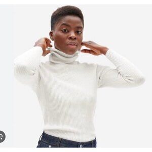 Everlane  The Italian Merino Rib Turtleneck White